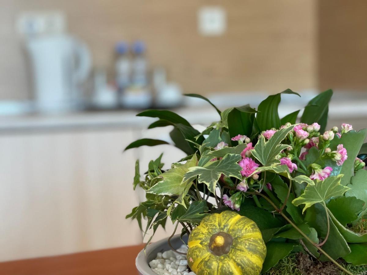 Adeona Wellness Hotel By Asteri Hotels 반스코 외부 사진
