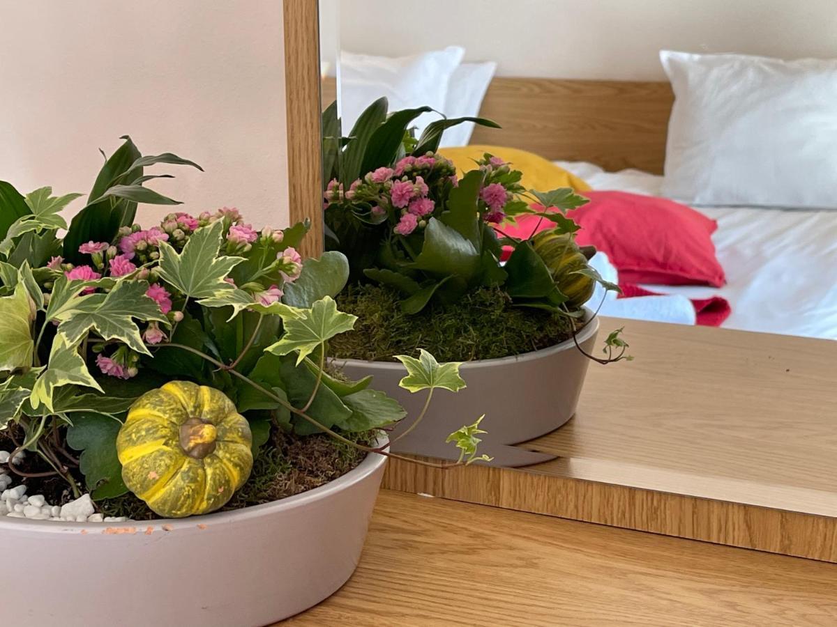 Adeona Wellness Hotel By Asteri Hotels 반스코 외부 사진